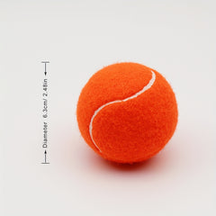 2pcs Durable Rubber Tennis Balls with Mesh Bag for Beginners Training