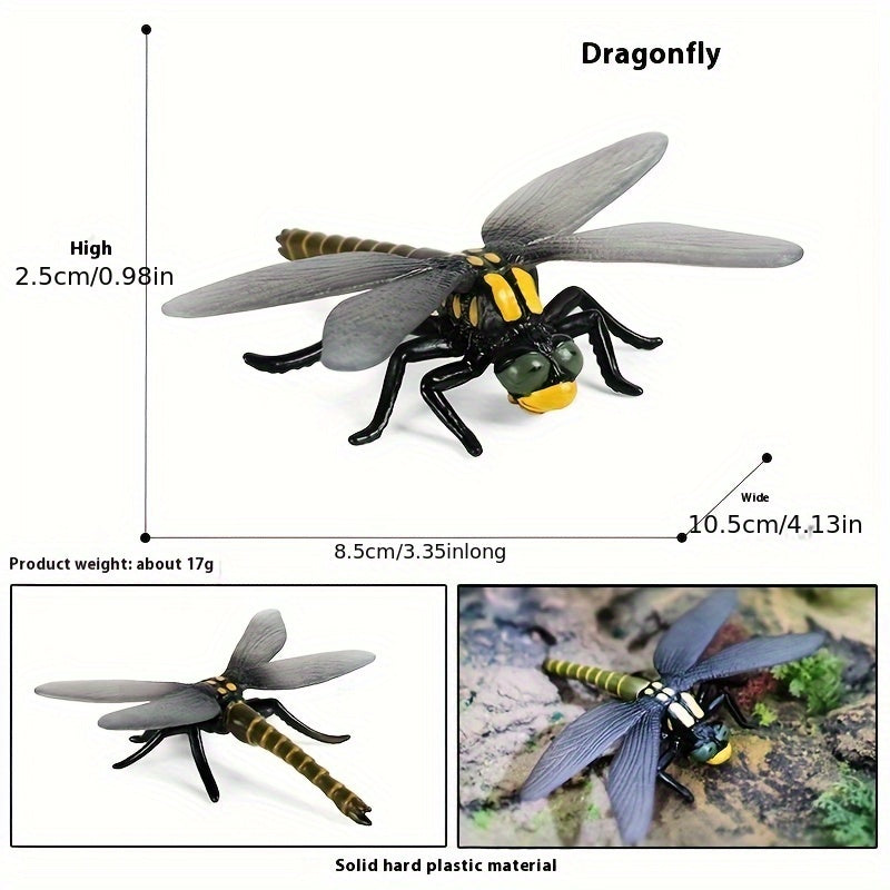 Simulated Insects Dragonflies Growth Cycle Full Set of Models