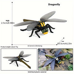 Simulated Insects Dragonflies Growth Cycle Full Set of Models