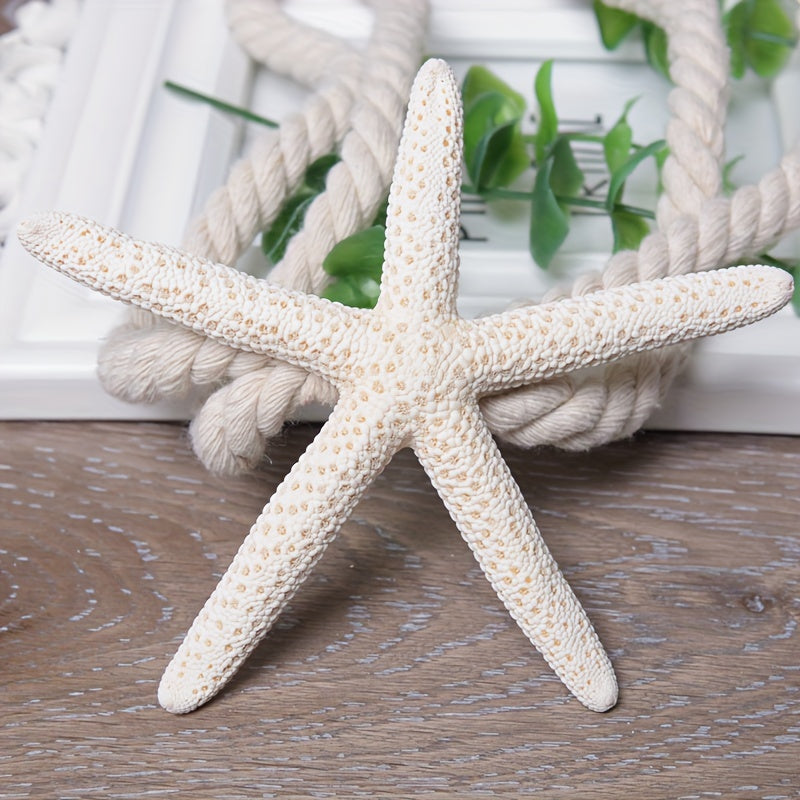 Natural Starfish Curtain Tiebacks for Home Decor