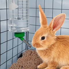 1000ml Hanging Water Bottle for Small Pets