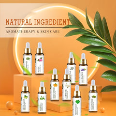 Aromatherapy Massage Essential Oil Set