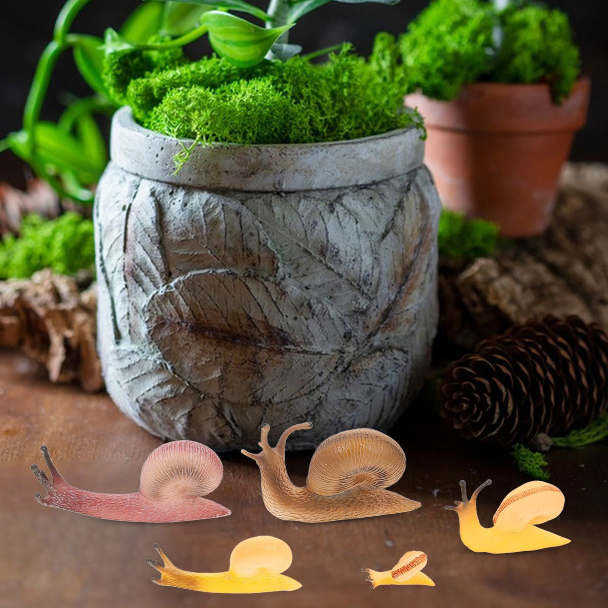 Snail Landscape Disc Ornament Snail Toy PL127