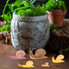 Snail Landscape Disc Ornament Snail Toy PL127