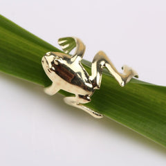 1pc Matching Frog Earring Men Women