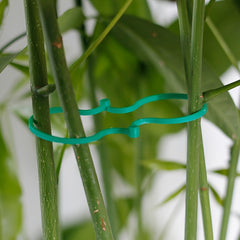 200 Tomato Clips for Plant Support in Garden Climbing Plants
