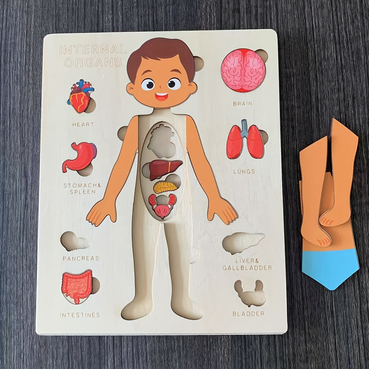 Wooden Human Body Puzzle for Kids Educational Toy