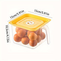 Large Capacity Refrigerator Storage Box With Lid And Handle