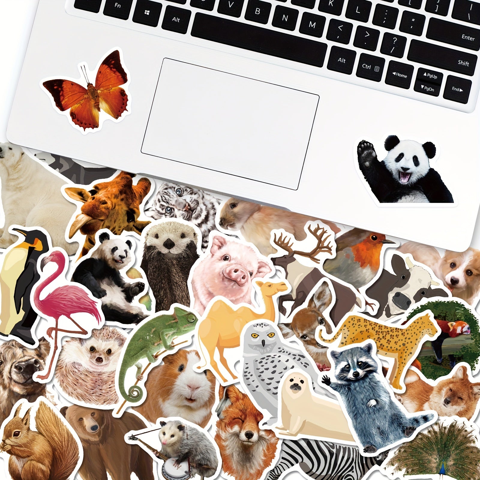 50pcs Animal Documentary Vinyl Waterproof Stickers for Adults