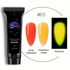 15ml Temperature Sensitive Nail Extension Gel Kit with Tips