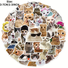 50pcs Cute Cat Graffiti Stickers for Motorcycles Laptops and More