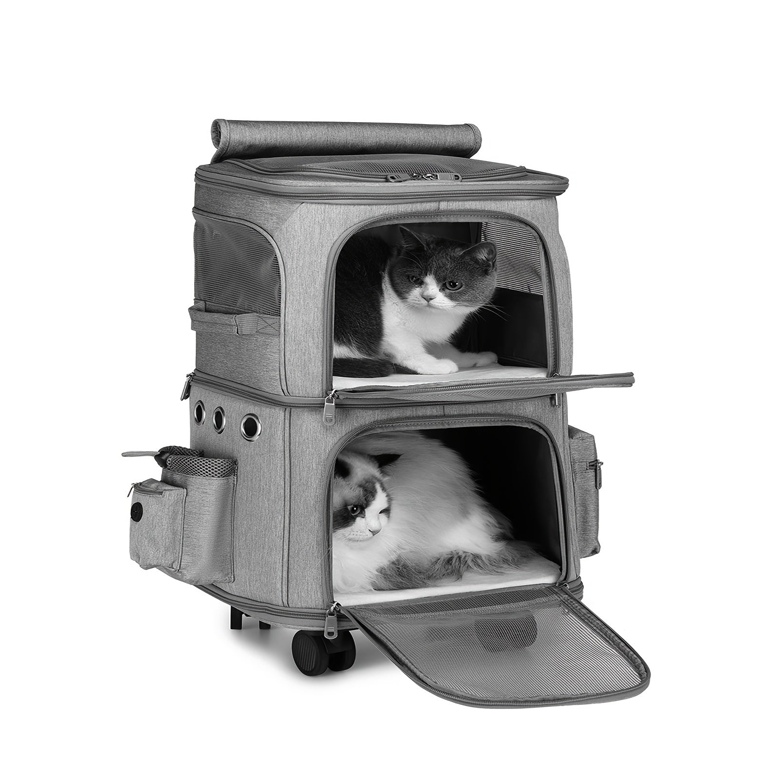Rolling Pet Carrier For Dogs 2 Compartments & Wheels