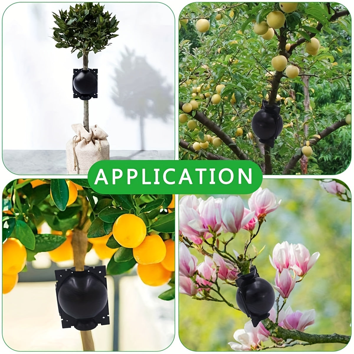 10pcs Reusable Tree Root Growing Box Air Layering Propagation Kit