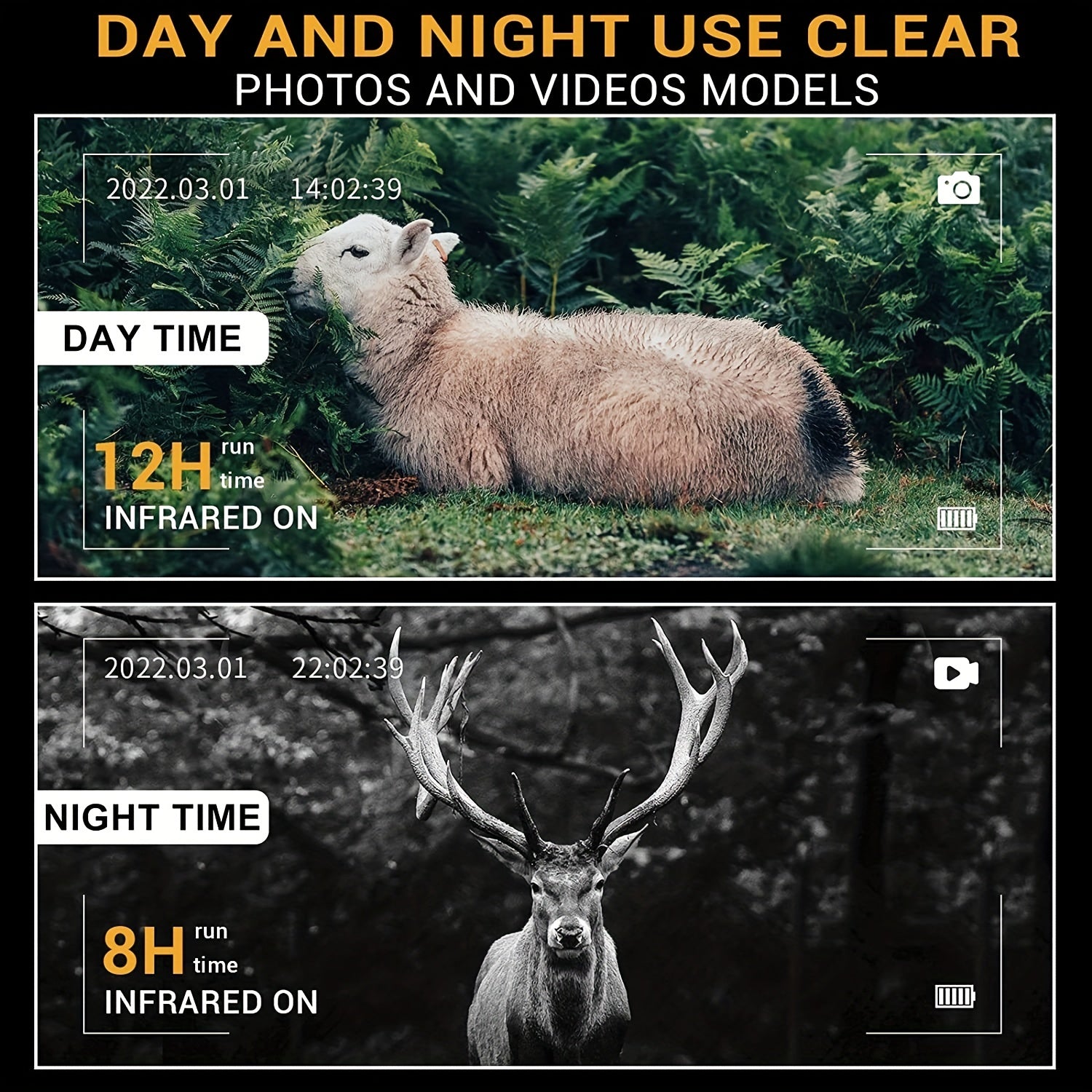 1080p HD Night Vision Binoculars for Camping and Surveillance