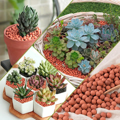 Ceramsite Clay Pebbles for Orchids and Indoor Plants 200 Al