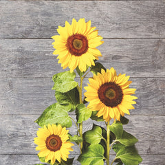 Sunflowers Hanging Towel for Farmhouse Decor