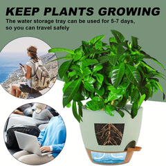 2 Self Watering Pots for Indoor Plants 20-32cm - Modern African Violet Pots