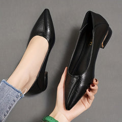 Women's Pointed Toe Low Heels Soft Sole Faux Leather Shoes