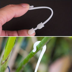 50pcs Vegetable Fruit Support J Hooks Tomato Support J Hooks Vegetable Clips