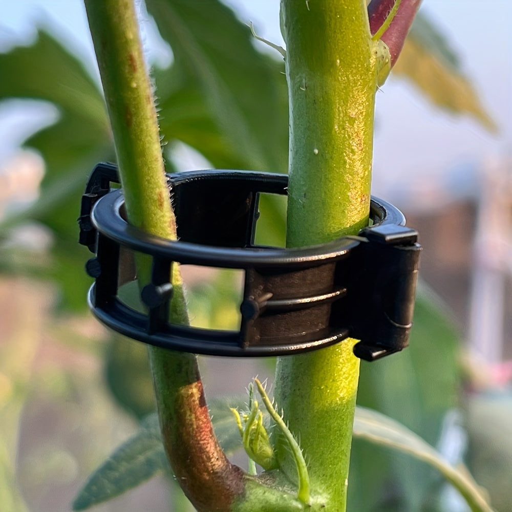 30pcs Plant Vine Clips Branch Fastener Tomato Cucumber Climbing Clips