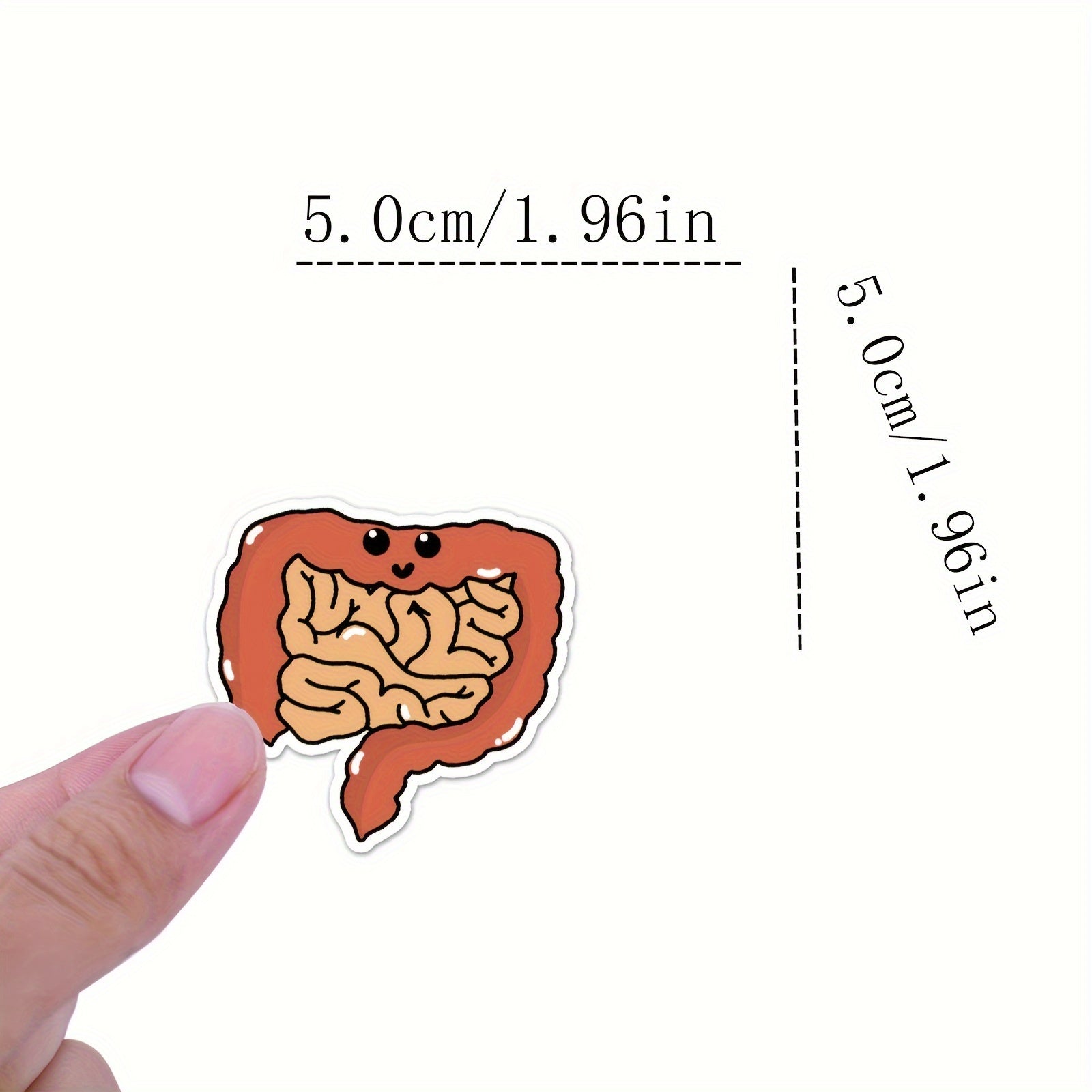 50pcs Human Biology Stickers Waterproof Scrapbook Laptop Skateboard