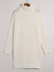 Solid Long Sleeve Turtle Neck Sweater Dress