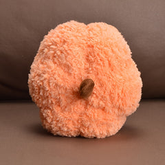 Orange Rainbow Pumpkin Plush Toys Soft Children's Animals