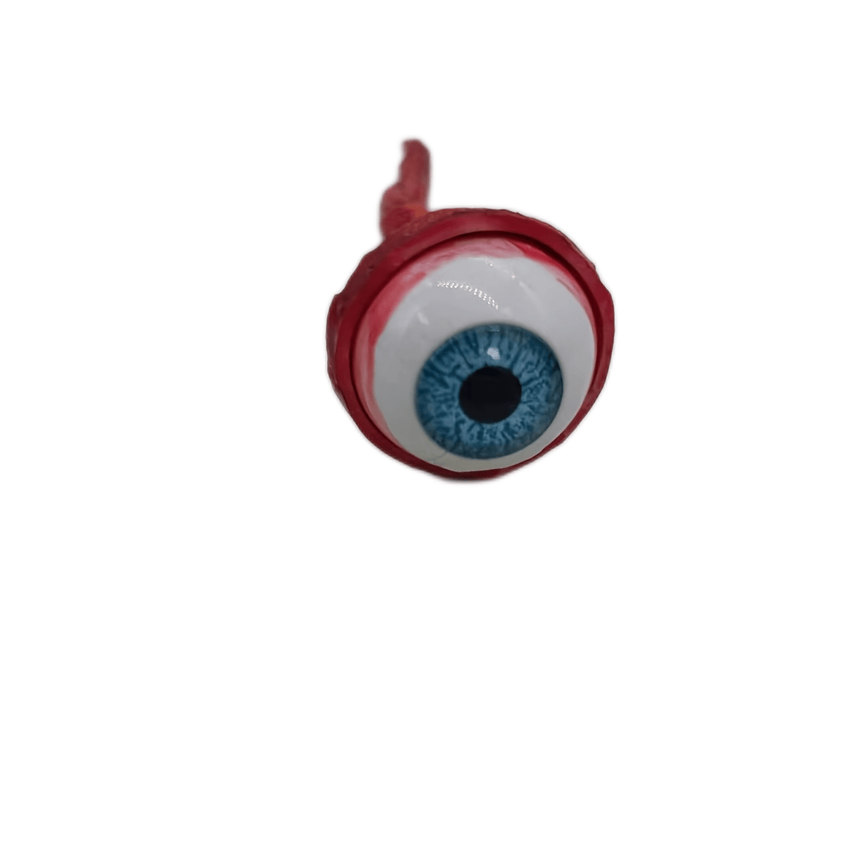 2 Colors Latex Halloween Prank Eyeballs for Scary Fun