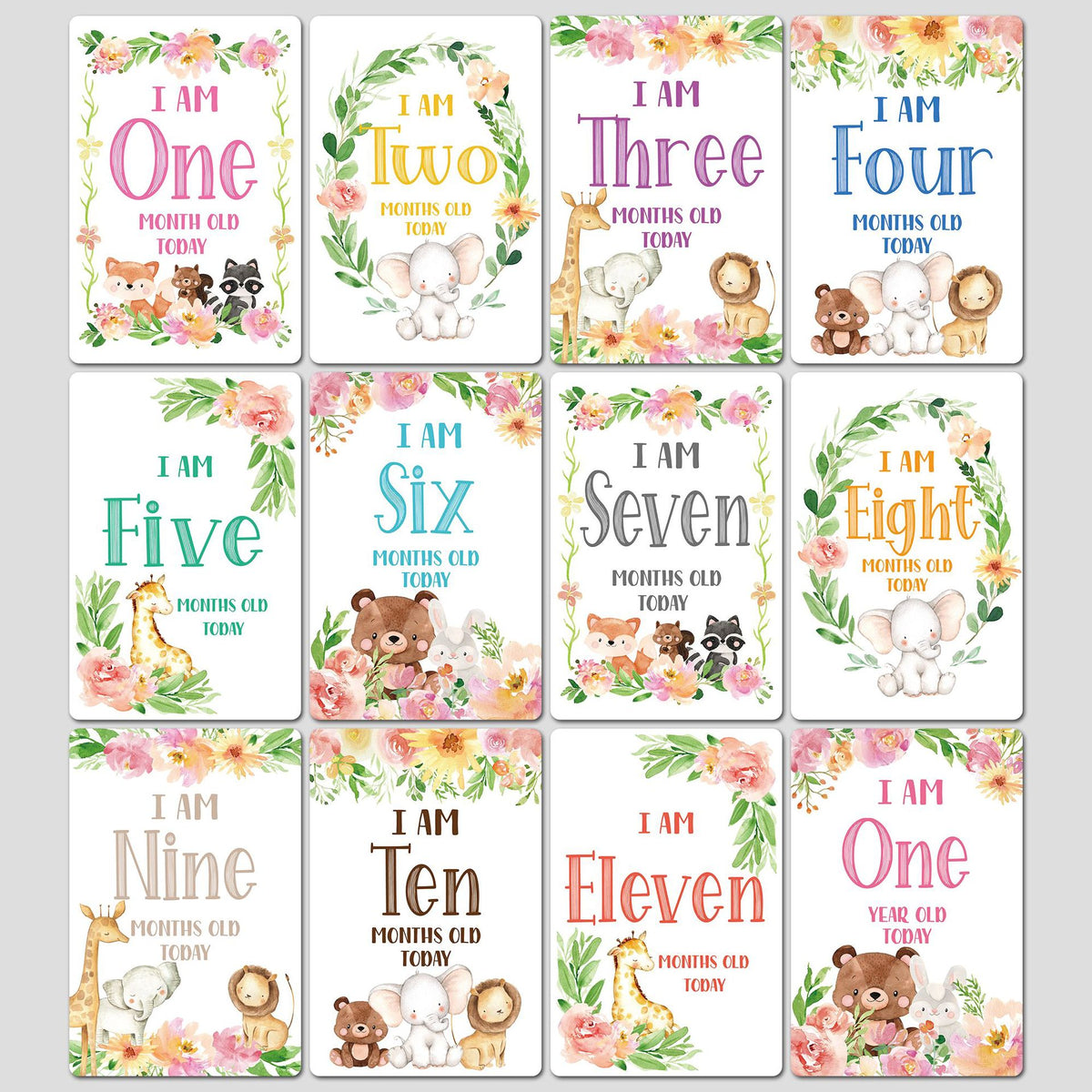 12pcs Newborn Month Sticker Cards - Perfect Baby Shower Gift