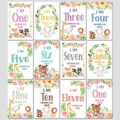 12pcs Newborn Month Sticker Cards - Perfect Baby Shower Gift