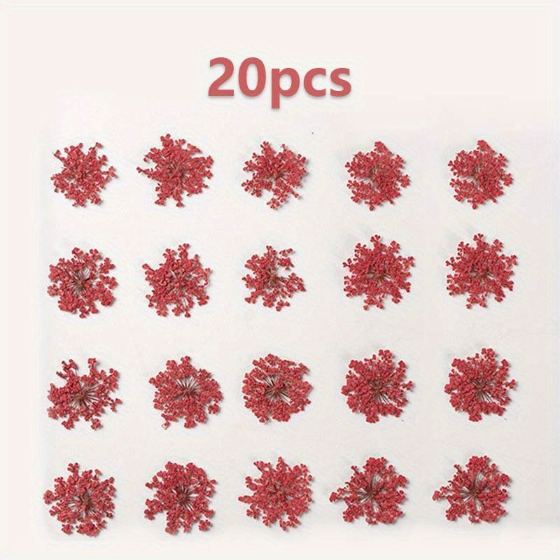 20pcs Natural Snowflake Dry Flower Embossing DIY Decorations
