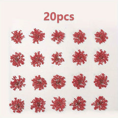20pcs Natural Snowflake Dry Flower Embossing DIY Decorations