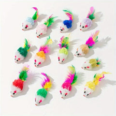 10-20pcs Interactive Cat Toys Exercise Indoor Kitten Playing Chewing