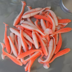 Spiral T Tail Lure Soft Fishing Bait Minnow Soft Bait Soft Bug