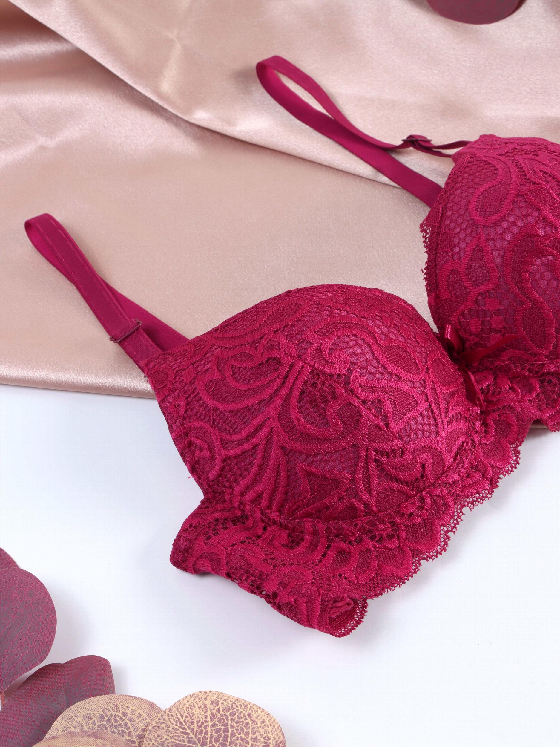 Lace Push Up Bra Comfy & Breathable Women's Lingerie