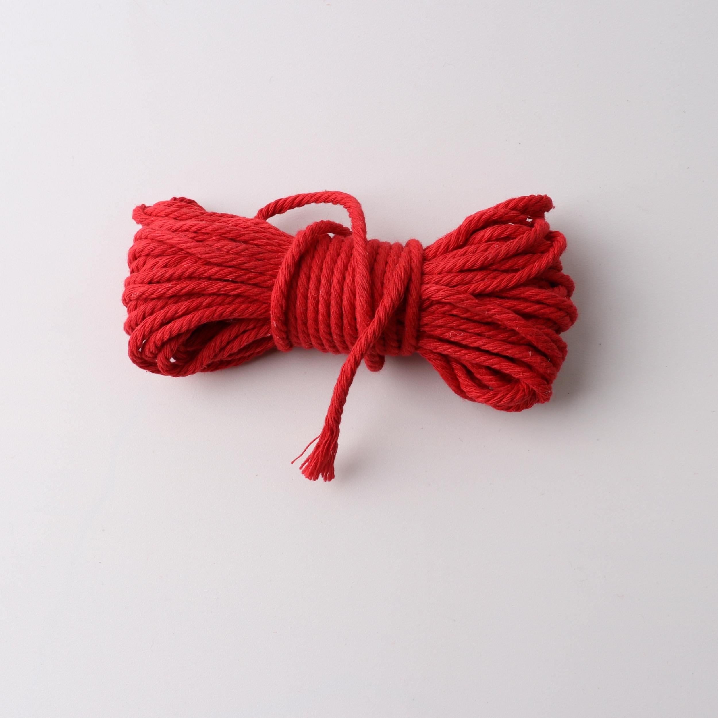 Rope Jewelry Accessories Home Decoration DIY Braided Tapest