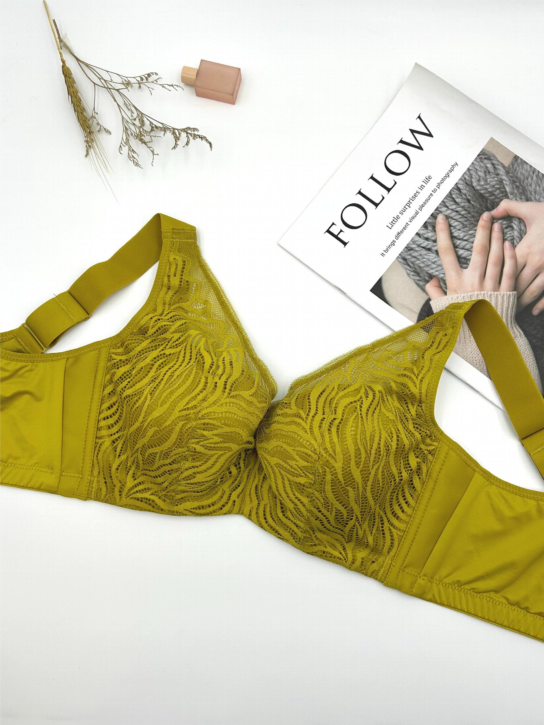 Lace Push Up Bra Comfy & Breathable Intimates Women's Lingerie