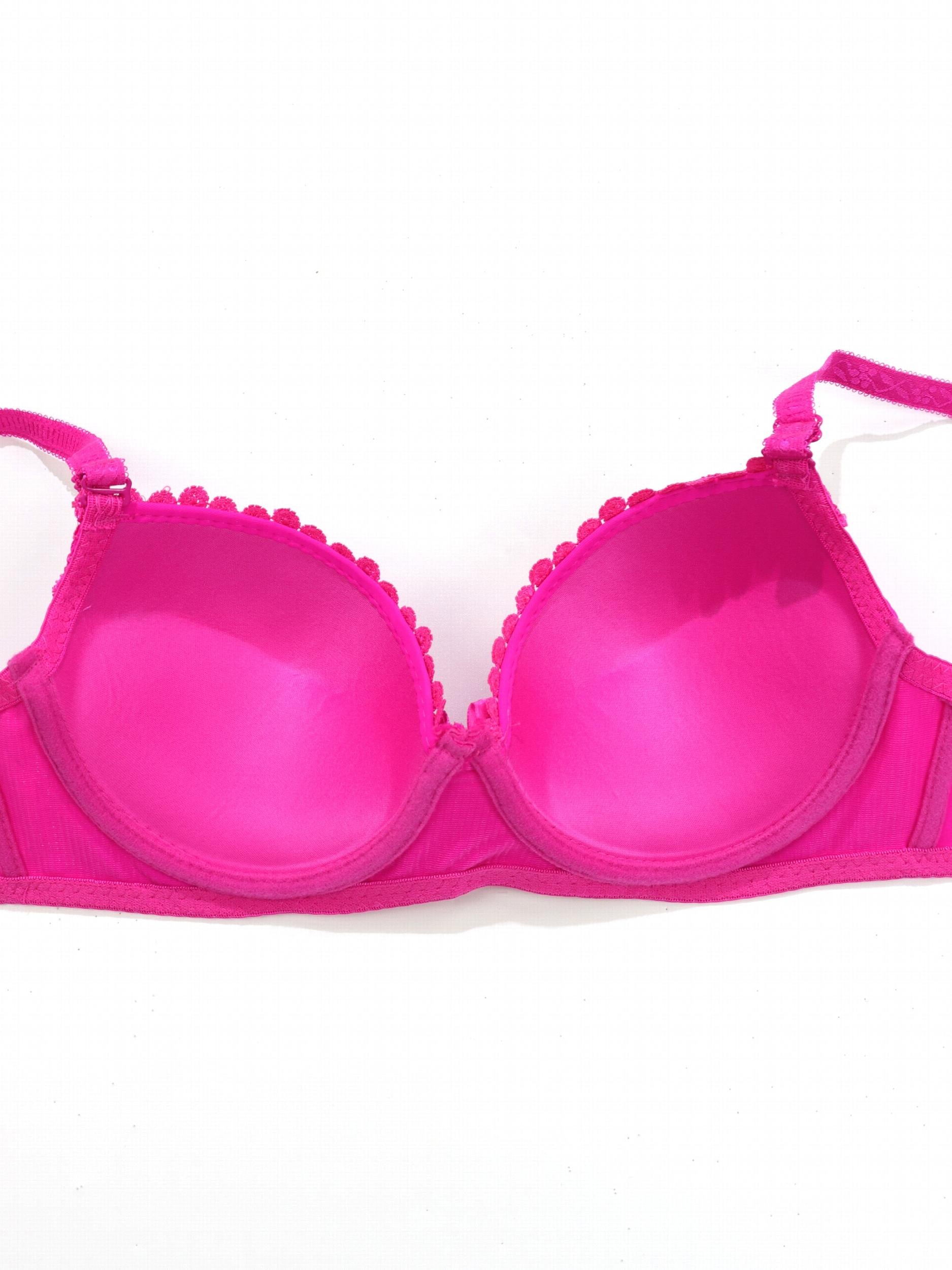 2pcs Lace Push Up Bra Comfy & Breathable Women's Lingerie