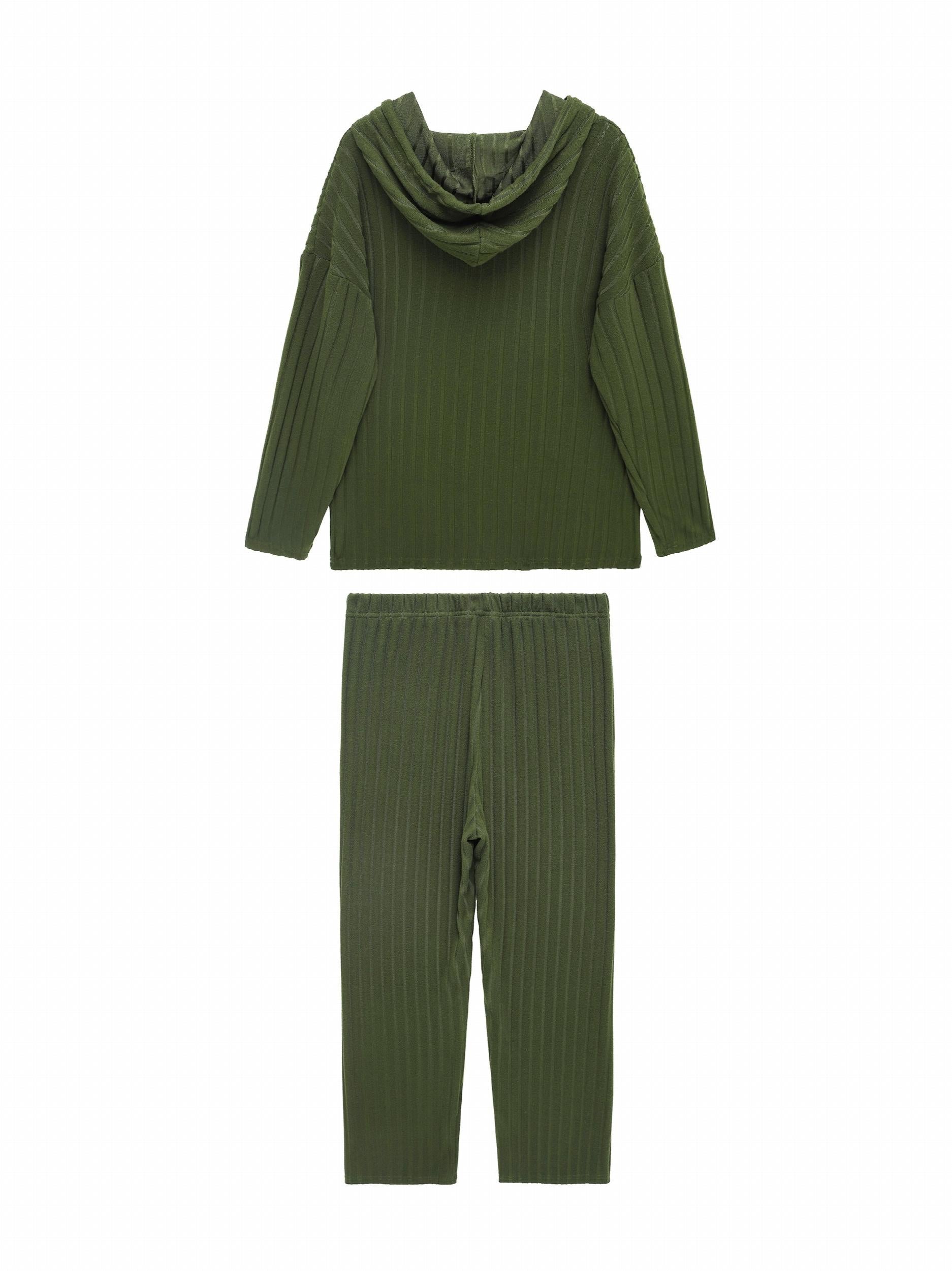  Solid Long Sleeve Hoodie & Pants 2 Piece Set