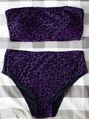  Leopard Print Bikini Set Bandeau Bra & High Waisted Panty Swimsui