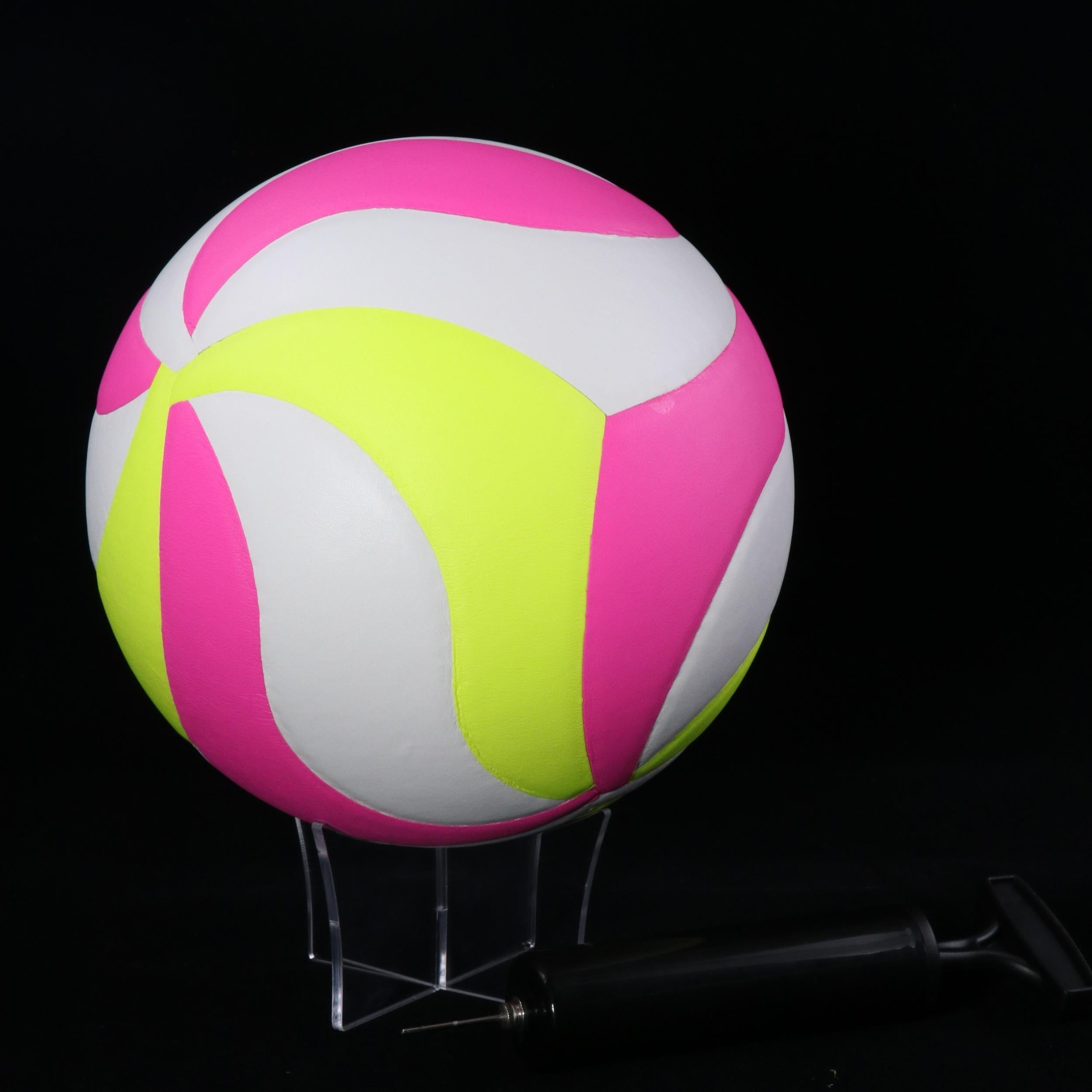 Professional Competition Volleyball No 5 with Pump