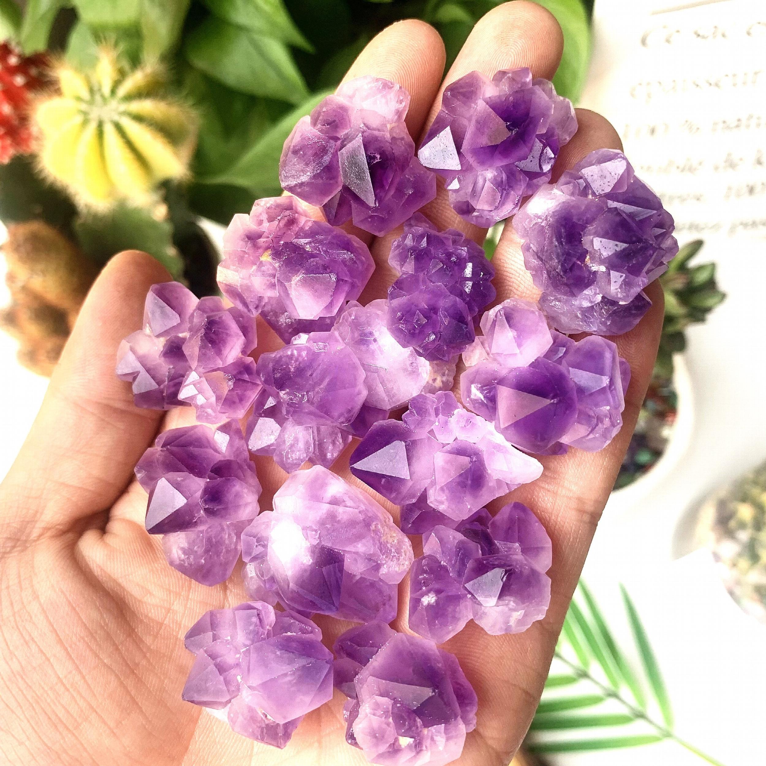 2 Natural Amethyst Flower Cluster Raw Stone Healing Crystals